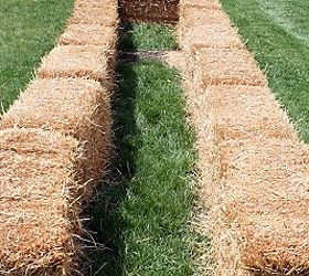 straw bale gardening, gardening, Use straw bales not hay bales