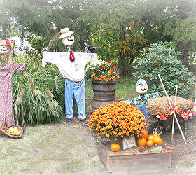pumpkin family for fall decor, outdoor living, seasonal holiday decor