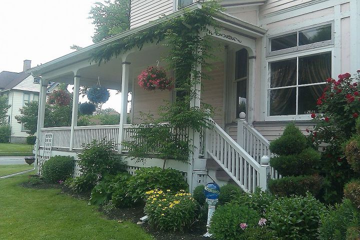 nervous about cutting my climbers for painting, Trumpet vine on the side of the wrap around porch