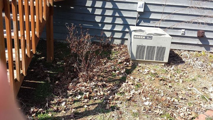 q new homeowner looking for landscaping ideas, gardening, landscape