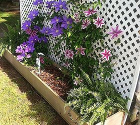 my clematis flower box bed made from ideas on pinterest, container gardening, flowers, gardening, Clematis flower bed