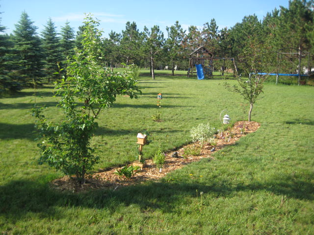 minnesota grown, gardening, landscape, Newest perennial garden