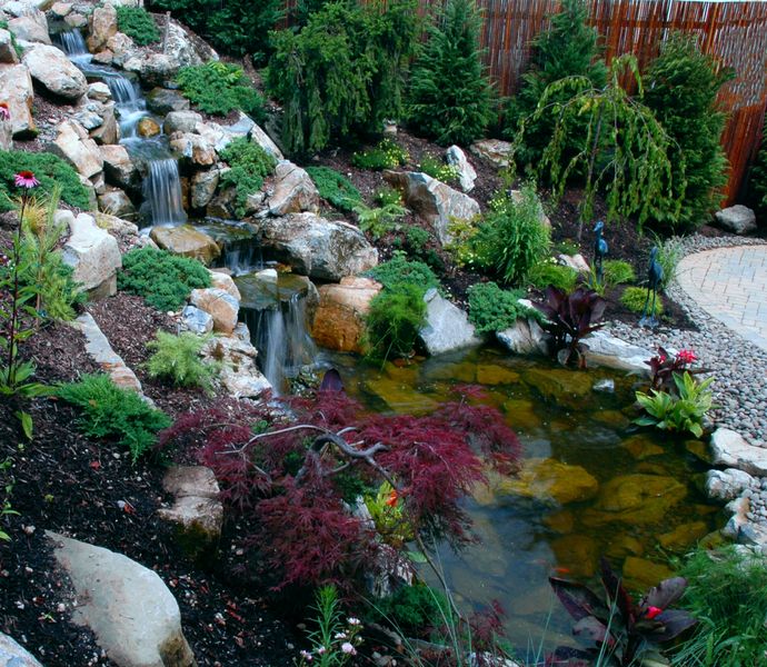 when an outdoor oasis includes more than a pool, decks, landscape, outdoor living, patio, perennial, ponds water features, pool designs, Attracting Wildlife In Backyards