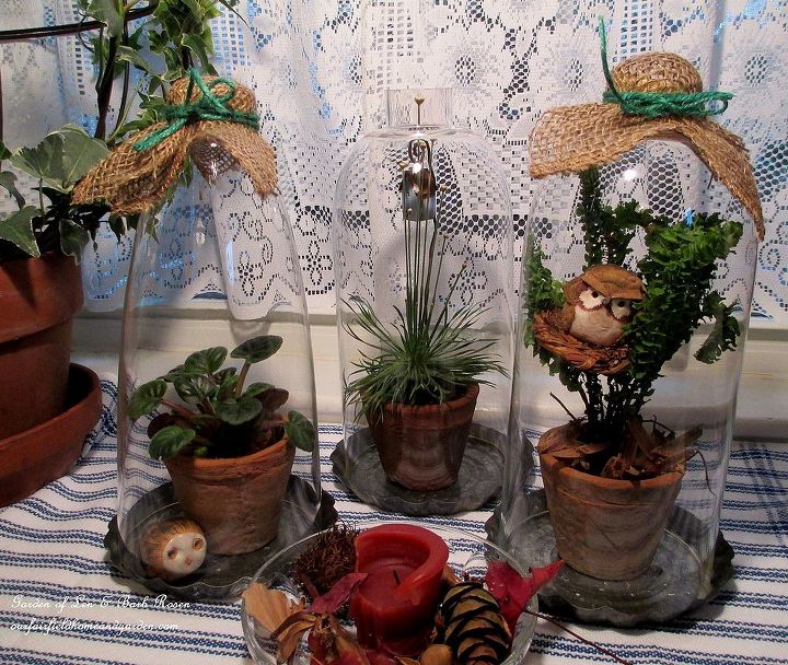 lamp glass cloches, crafts, kitchen window display three lamp glass cloches with houseplants