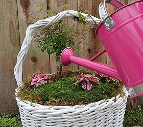 fairy garden easter baskets, crafts, easter decorations, gardening, seasonal holiday decor, As you plant treat your mini garden as you would a full size landscape by adding taller plants as trees and shorter bushier ones as shrubs