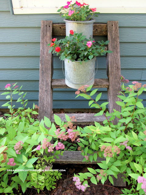 re purposed tree house ladder, container gardening, gardening, repurposing upcycling, An old tree house ladder picked up for free adds vertical interest to my minnow bucket plant containers