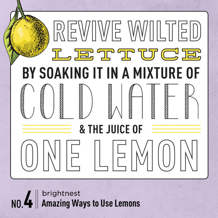 power to the lemon 10 amazing household tips, cleaning tips, go green