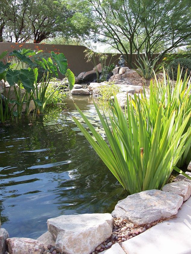 our work, flowers, gardening, outdoor living, pets animals, ponds water features, What makes the desert beautiful is that somewhere it hides a well Antoine de Saint Exupery