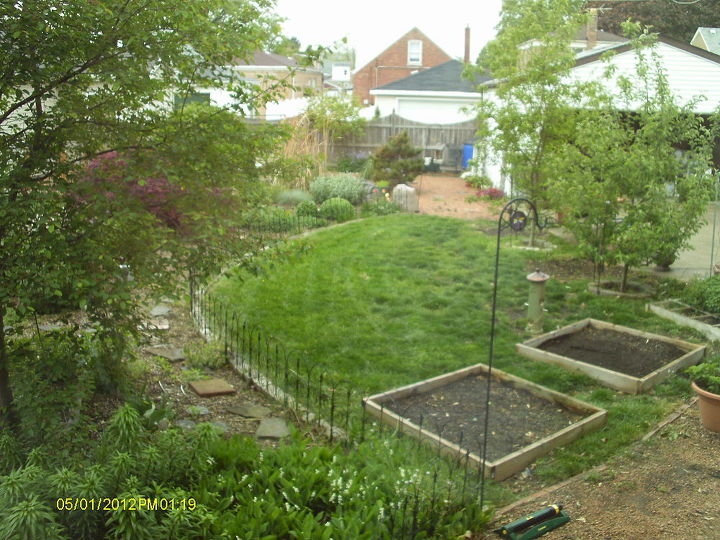 my back yard garden, gardening, view from bedroom window