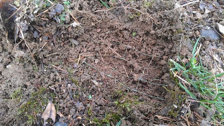 tilling lawn with green mesh underneath