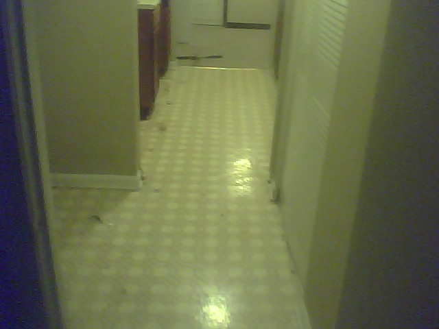 kitchen flooring, flooring, tile flooring, Had to do a lot of cleaning to get it to this point
