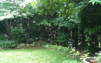 backyard hedgerow of arborvitae - provides a barrier from the neighbors, and disguises the concrete sewer access on the…