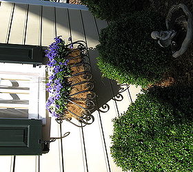 flowers amp wrought iron window box, flowers, gardening, flowers wrought iron window box