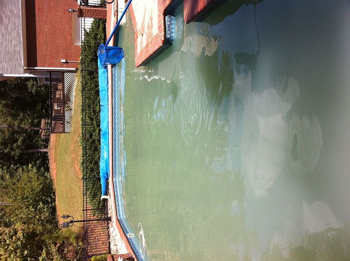 our pool had been sitting for over a year when we bought the house nothing worked to, this is after spending hundreds of dollars on products It just was not coming clean Took one gell block and everyday we could see a foot deeper and within 8 10 days it was completely clear