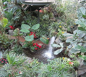 some pics from my vacation these are pictures from the opry gaylord hotel in, gardening, landscape