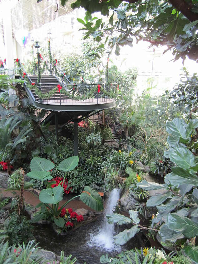 some pics from my vacation these are pictures from the opry gaylord hotel in, gardening, landscape