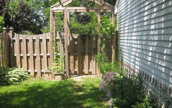 My husband made this arbor over the summer.  The twine between the posts help the potted hops to climb easily.
