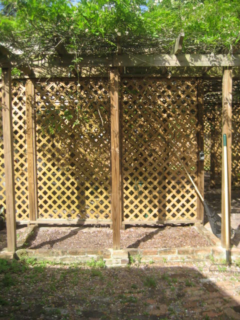 we recently cut back some wisteria that was growing on our pergola although it s, gardening, Wisteria invasion