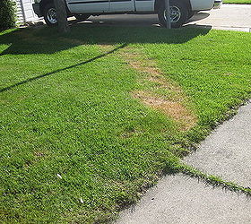 trail of dead grass mystery, Trail of dead grass from house to street