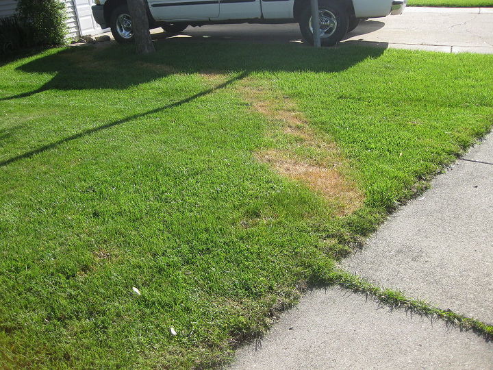 trail of dead grass mystery, Trail of dead grass from house to street