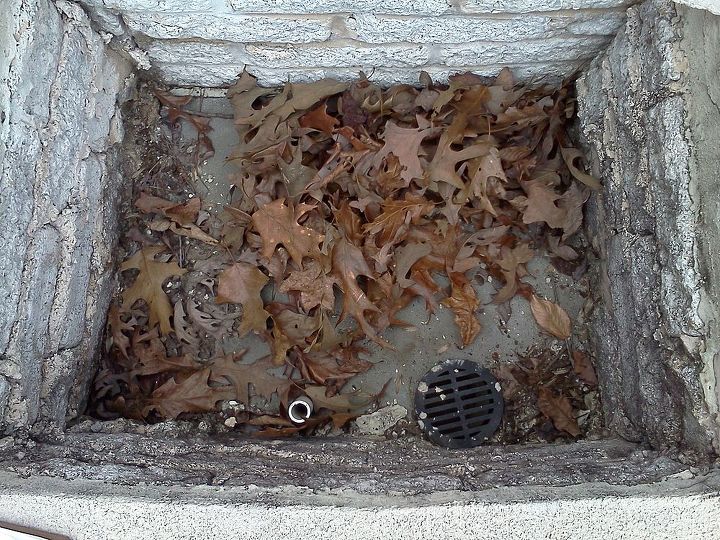 what is this, outdoor living, pool designs, inside appears to be a small drain and water pipe