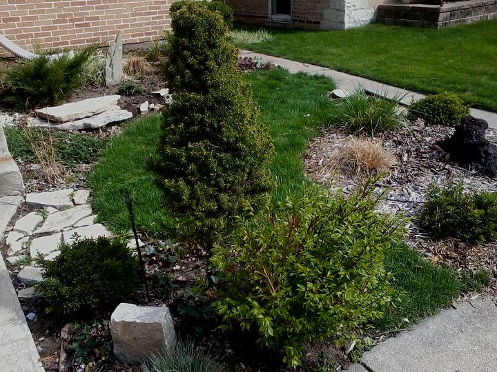 this is my do it yourself project in front of my home how can i maximize the growth, gardening, Rock Garden