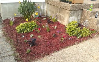 This is my first try at any real gardening. The two mulched beds out front of my home were planted with pansy's, begonia