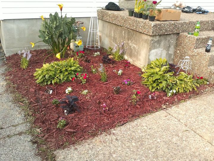 this is my first try at any real gardening the two mulched beds out front of my home, gardening
