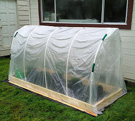diy greenhouse for approx 50, gardening, Small greenhouse approx 4 1 2 H x 3 W x 8 L