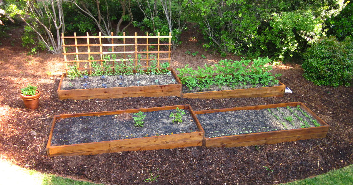 Raised Beds On A Slope Hometalk