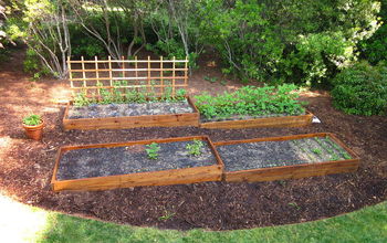 Raised Beds on A Slope