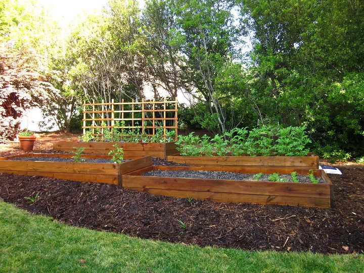 Raised Beds On A Slope Hometalk