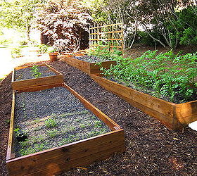 raised beds on a slope