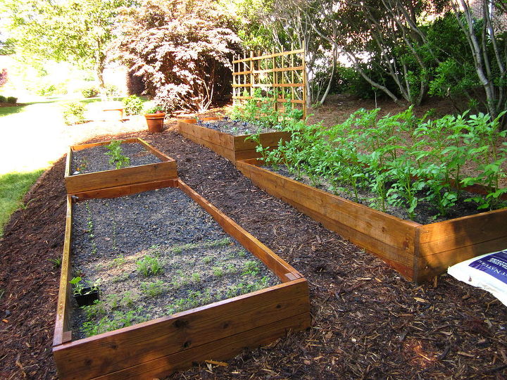 raised beds on a slope