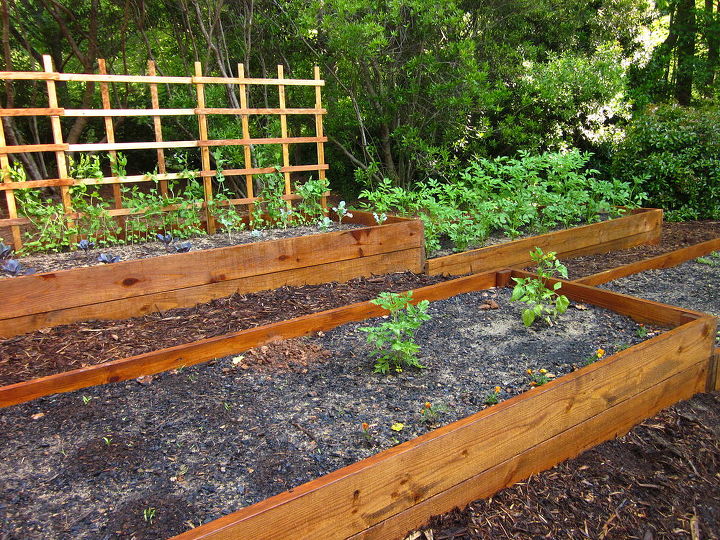 Raised Beds On A Slope Hometalk