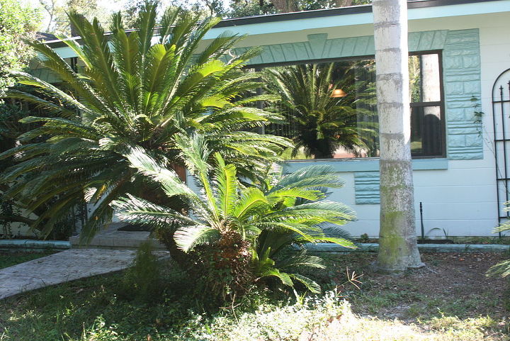 un proyecto que acabamos de terminar en el centro de orlando esta casa tiene grandes, Sagos debe ir