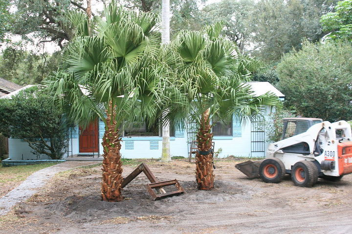 um projeto que acabamos de terminar no centro de orlando esta casa tem grandes, palmeiras chinesas