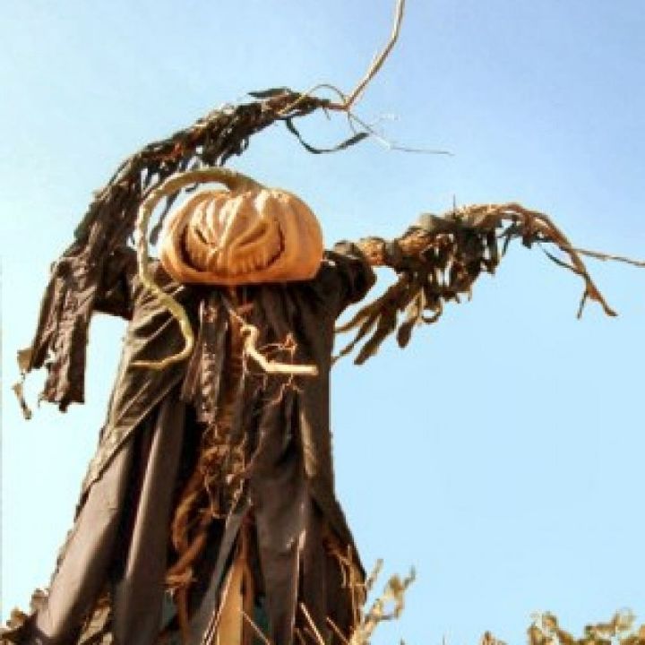 diy halloween scarecrow, halloween decorations, seasonal holiday d cor