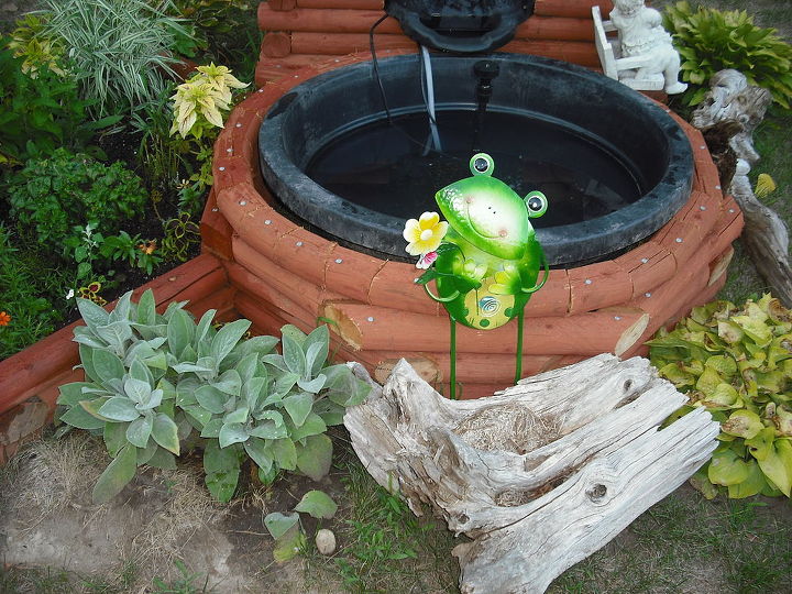 new garden and pond, flowers, gardening, hibiscus, outdoor living, ponds water features, love my frogs