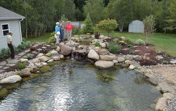"Swimmable" Backyard Water Garden