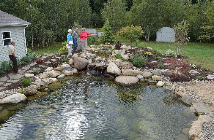 swimmable backyard water garden