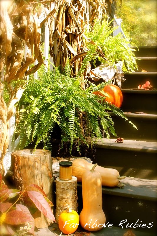 organic fall porch in the country, outdoor living, seasonal holiday decor, Acorn squash pumpkins and wood