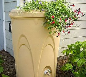 cut down your water bill by providing free rainwater for irrigation, container gardening, gardening, go green, landscape