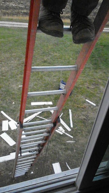 don t look down, Starting to get high up on the ladder