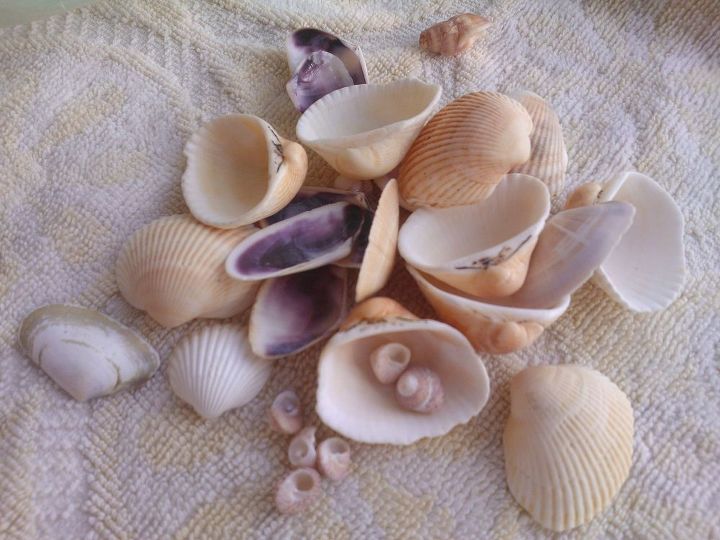 diy sea shells and vinyl wall art, crafts, Use your imagination and create different patterns