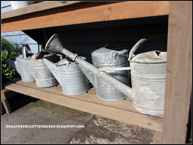a new potting bench, gardening, outdoor living, It was great for displaying a growing collection of watering cans