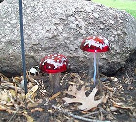glass garden mushrooms