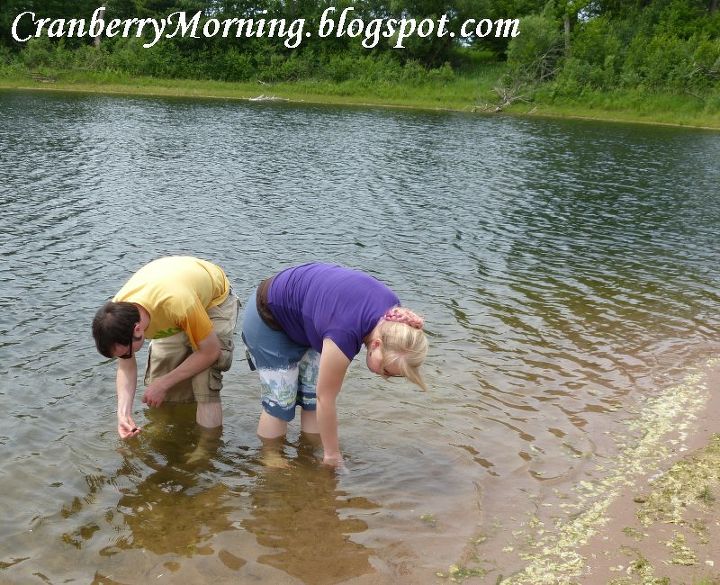 keep the garden pond clean with snails, outdoor living, ponds water features, My intrepid assistants helping gather snails