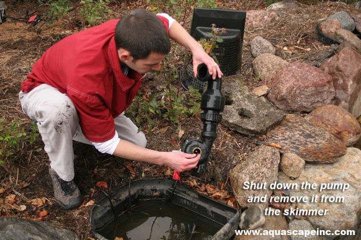 how to prepare your pond for winter, outdoor living, ponds water features, Remove the pump from the skimmer and store it inside