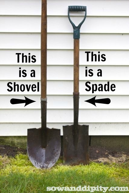 what is the difference between a shovel and a spade, gardening, tools, A useless random fact you can share with your tool borrowing neighbor